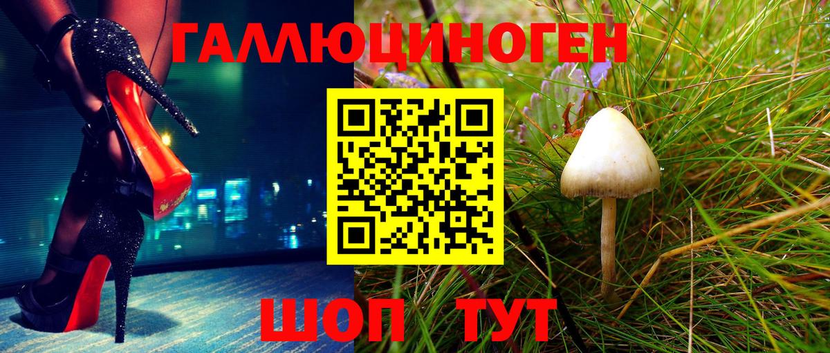 Кулебаки  Псилоцибиновые грибы Psilocybe  купить наркотики цена  Вход с VPN 
