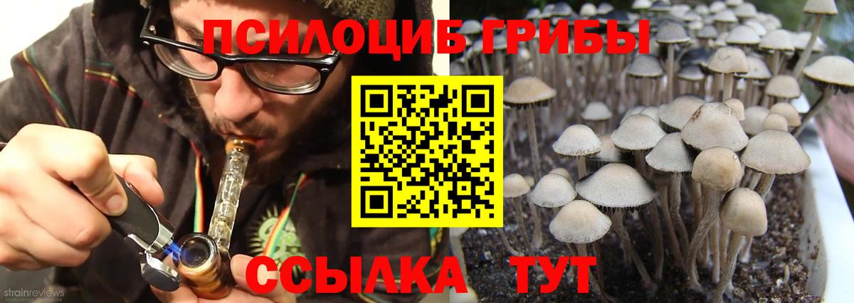 Псилоцибиновые грибы ЛСД Кулебаки